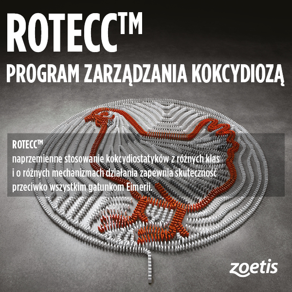 Baner ilustrujący link do broszury ROTECC