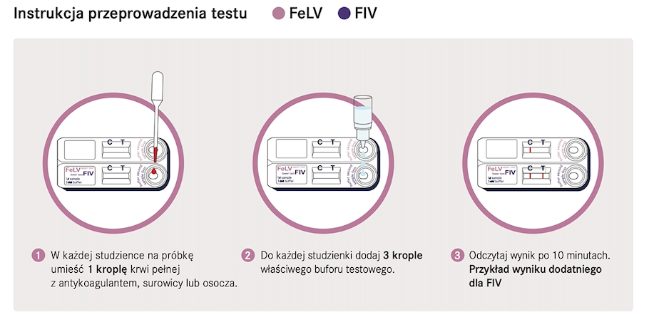 VETSCAN szybkie testy FeLV-FIV - parametry techniczne